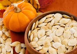 Pumpkin Seed